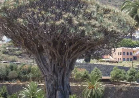 Apartamento Stunning Views At Tenerife