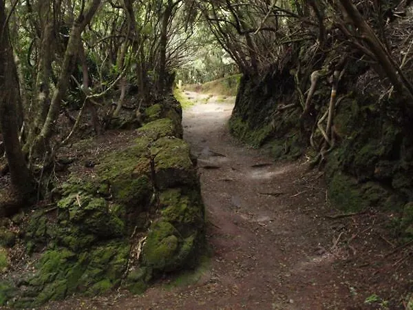 Stunning Views At Tenerife شقة *