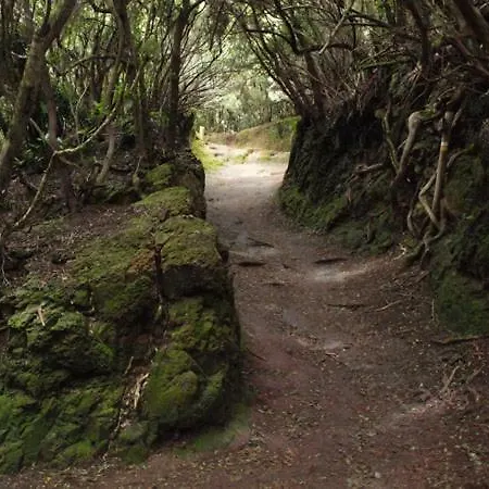 Stunning Views At Tenerife Daire *
