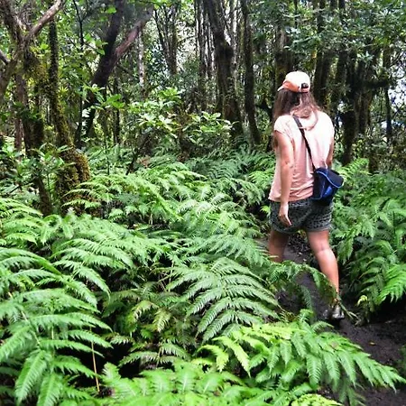 Stunning Views At Tenerife Апартаменты