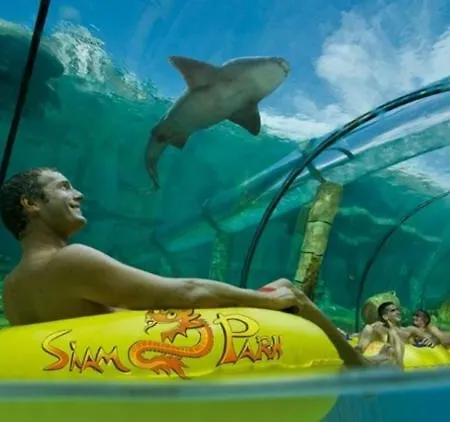 Stunning Views At Tenerife Tacoronte